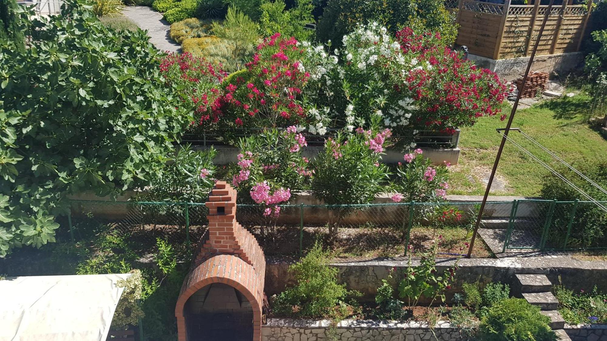 Apartments Paradiso PUY Rom bilde